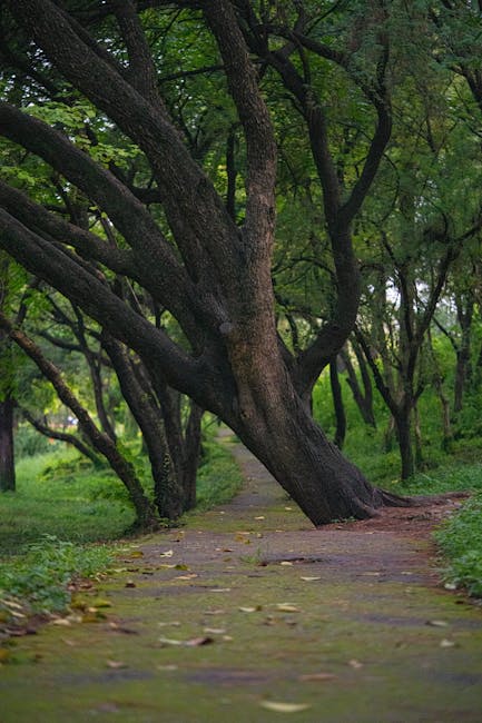 Why Everyone's Talking About If Your Facebook Group Has Been Banned, It's Probably a Bug (And Why YOU Should Be Too!)