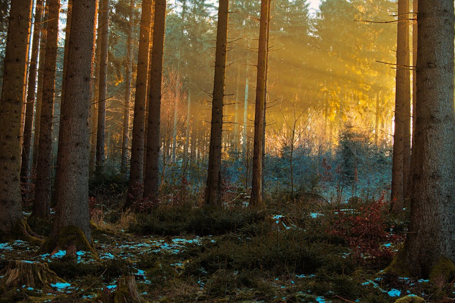 Beyond the Big Moments: How I Discovered Pure Joy in the Mundane