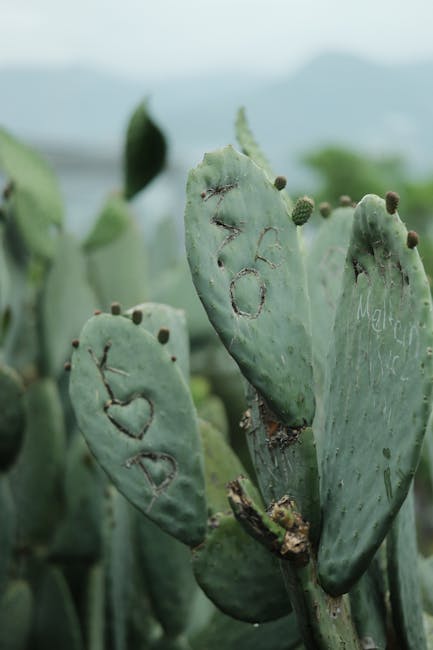 Beyond the Tears: How My First Heartbreak Rewrote My Self-Worth