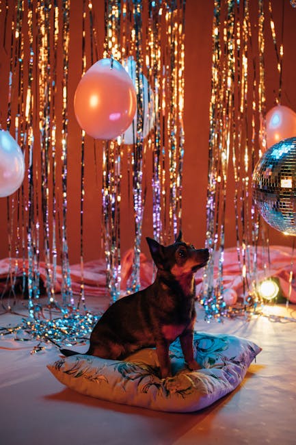 Exposed: The Shocking Truth Behind 'Celebrity Dog Rescues' & Why It's Hurting Real Pups