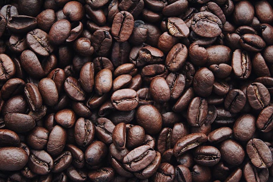 Morning Coffee's Shocking Secret: Scientists Discover It Activates Your Longevity Switch!