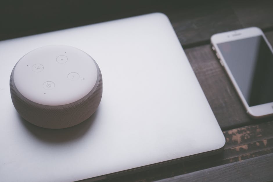 Prime Day's Reigning Discount Champion: Why Amazon's Own Tech Dominates the Sales