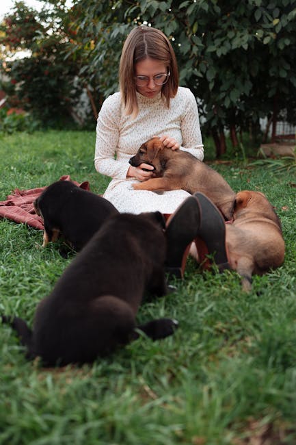 Unleash Your Backyard's Earning Power: Make Money Hosting Dog Playdates with These Apps!